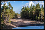 FR117 4A, SD FR117 4A, SD
