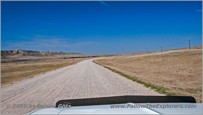 Echeta Rd, WY Echeta Rd, WY
