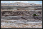 Reh, Rd 28/Basins Garden Rd, Wyoming Reh, Rd 28/Basins Garden Rd, Wyoming
