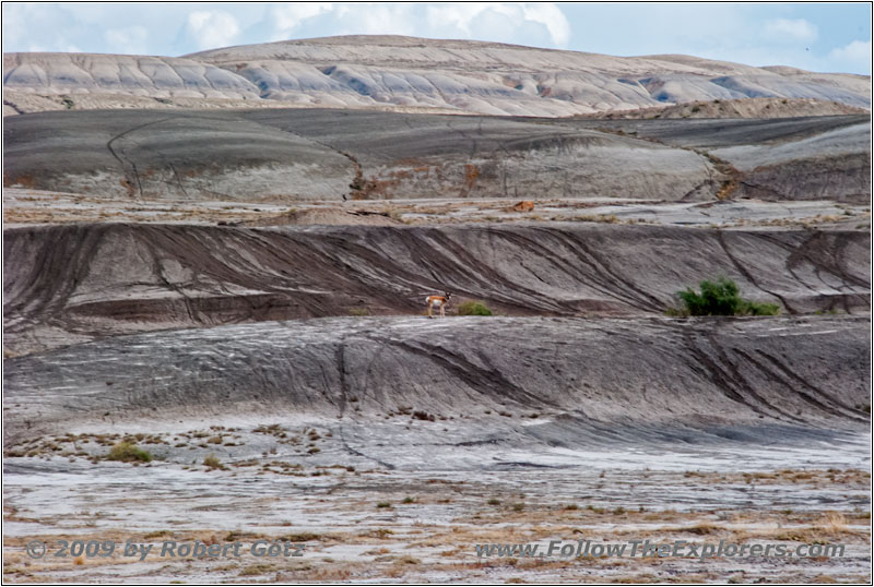 Reh, Rd 28/Basins Garden Rd, Wyoming Reh, Rd 28/Basins Garden Rd, Wyoming