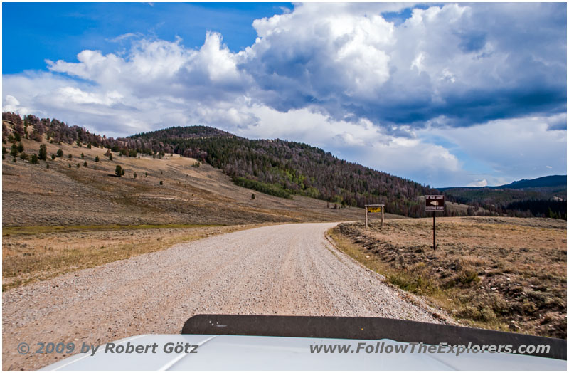 Union Pass Rd/FR263, WY