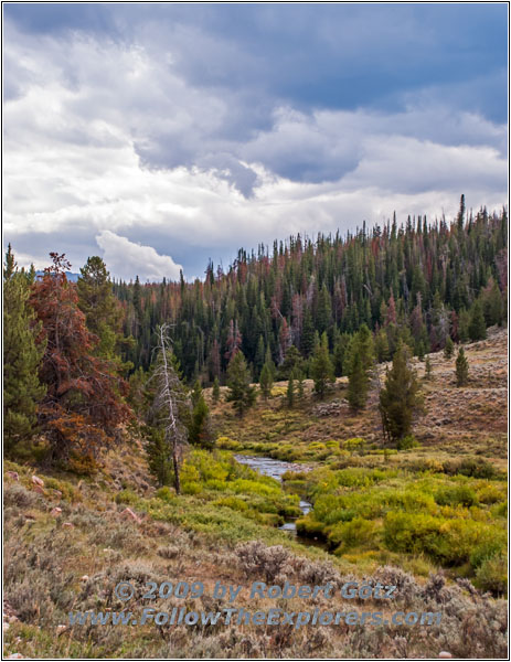 Union Pass Rd/FR263, Warm Spring Creek, WY
