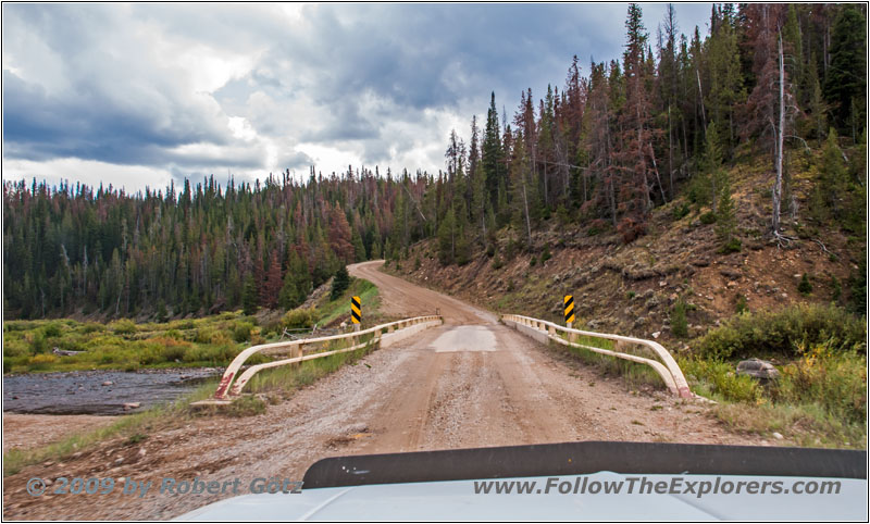 Union Pass Rd/FR263, Warm Spring Creek, WY