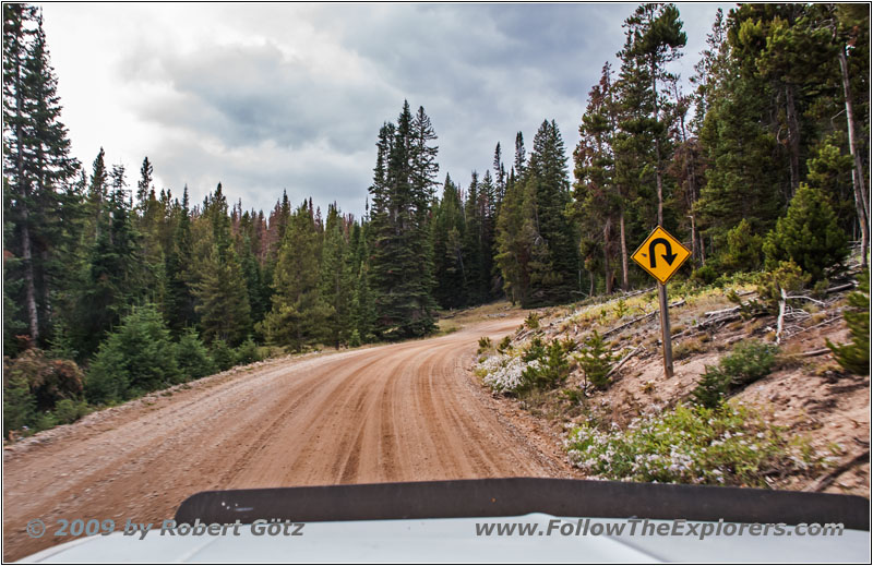 Union Pass Rd/FR263, WY