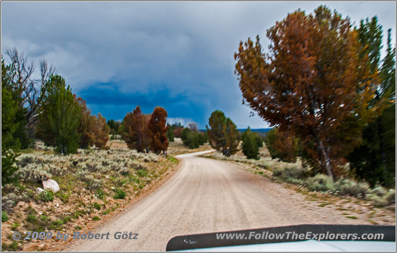 Union Pass Rd/FR263, WY