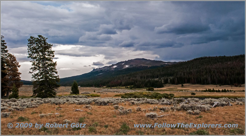 Union Pass Rd/FR263, WY