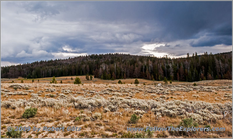 Union Pass Rd/FR263, Continental Divide, Union Pass, WY