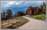 Union Pass Rd/FR600, WY