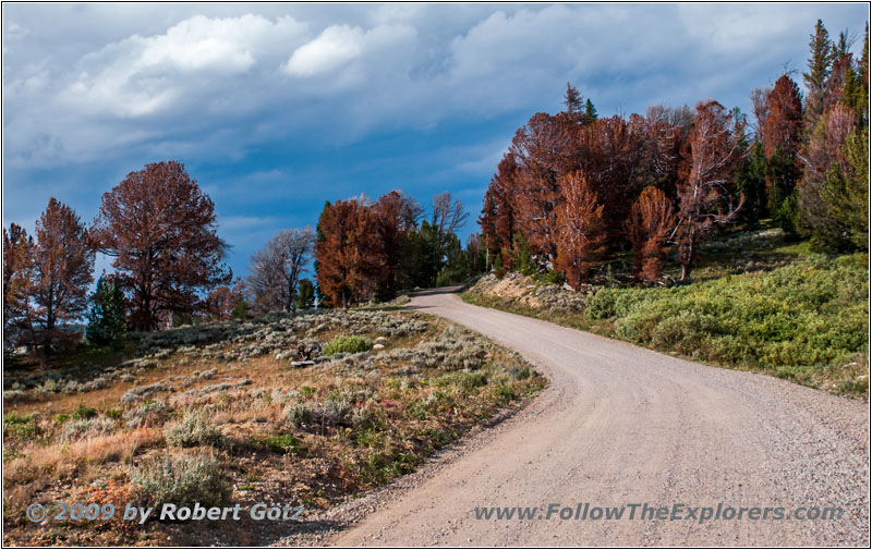 Union Pass Rd/FR600, WY
