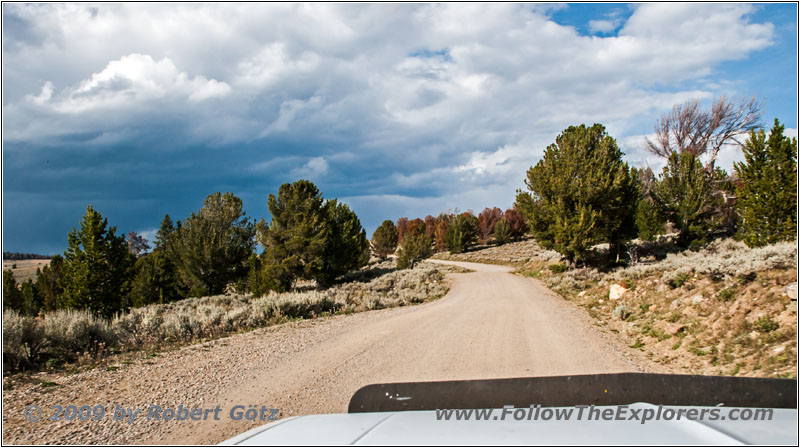 Union Pass Rd/FR600, WY