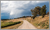 Union Pass Rd/FR263, WY