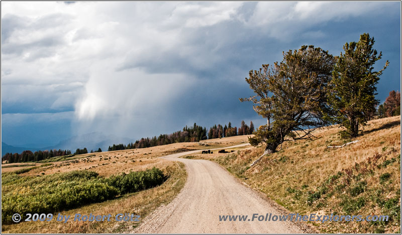 Union Pass Rd/FR263, WY