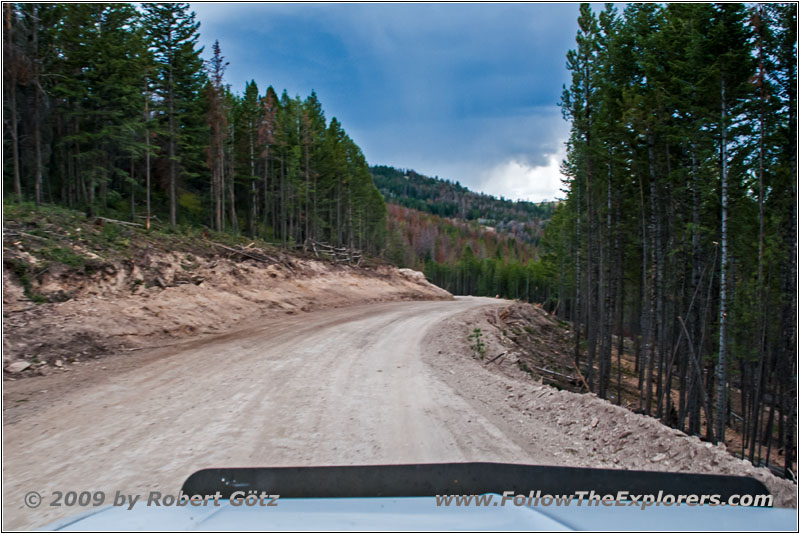Union Pass Rd, WY
