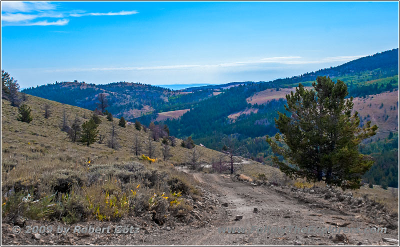 FR352/Wolf Trail, WY