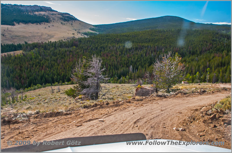 FR352/Wolf Trail, WY
