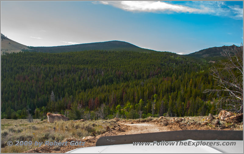 FR352/Wolf Trail, WY