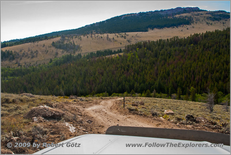 FR352/Wolf Trail, WY