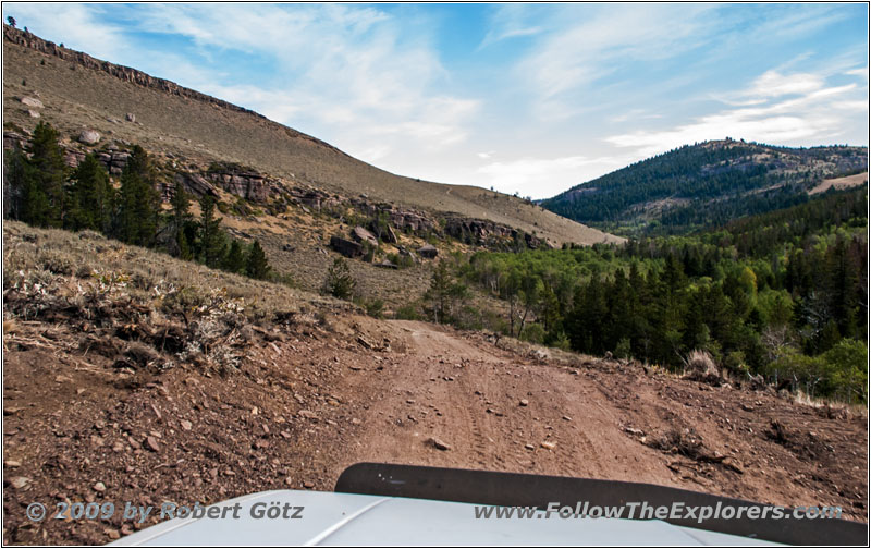 FR352/Wolf Trail, WY