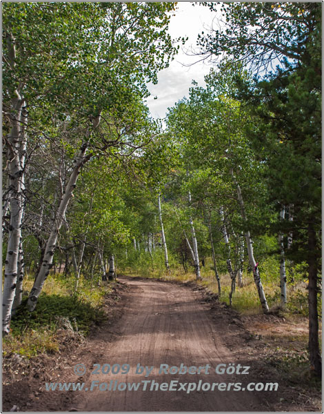 FR352/Wolf Trail, WY