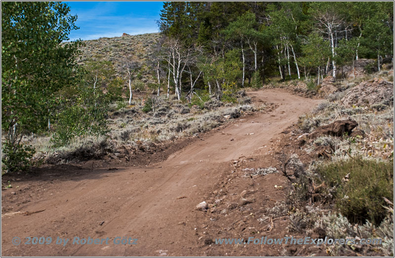 FR352/Wolf Trail, WY