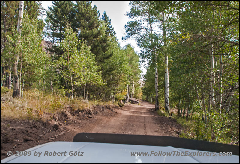 FR352/Wolf Trail, WY