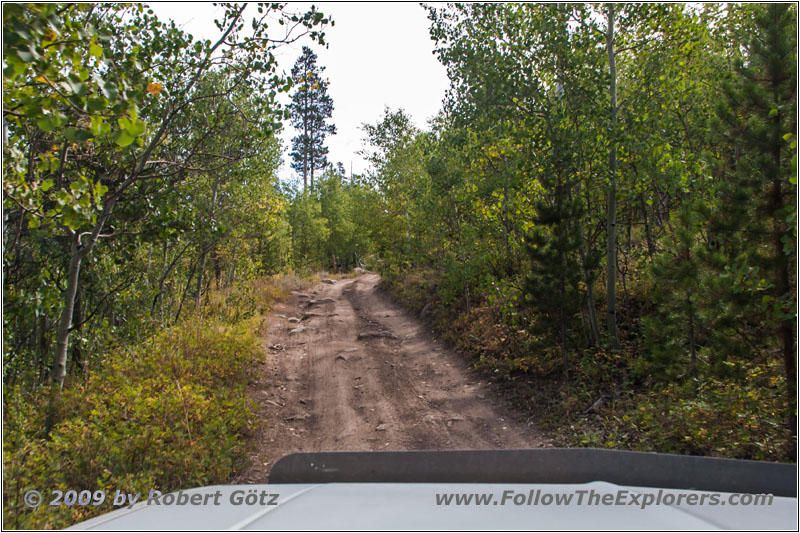 FR352/Indian Trail, WY