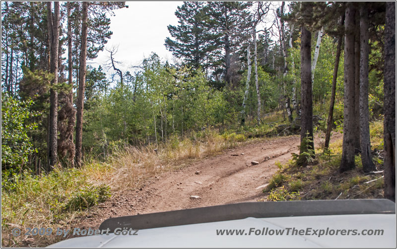 FR352/Indian Trail, WY