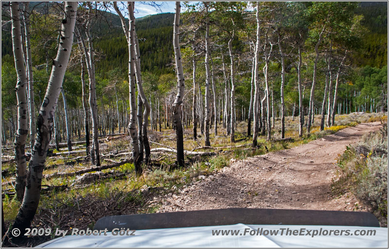 FR352/Indian Trail, WY