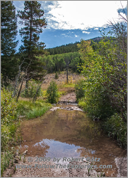 FR352/Indian Trail, Canyon Creek, WY
