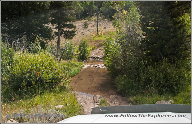 FR352/Indian Trail, Canyon Creek, WY