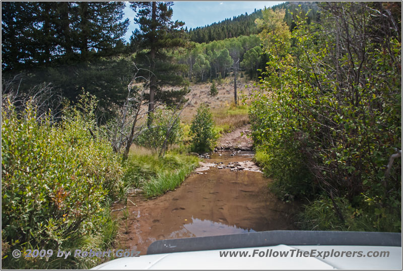 FR352/Indian Trail, Canyon Creek, WY