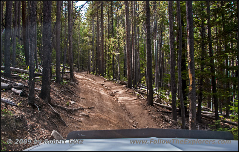 FR352/Indian Trail, WY