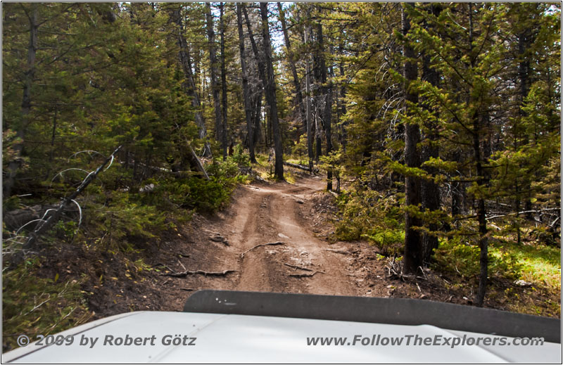 FR352/Indian Trail, WY