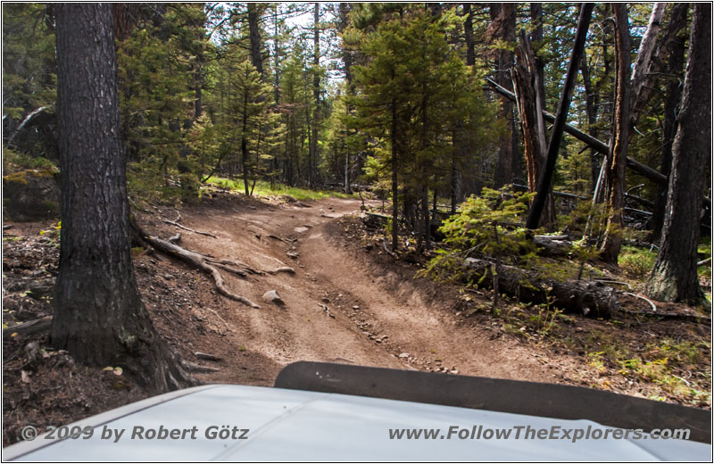 FR352/Indian Trail, WY