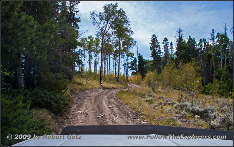 FR352/Indian Trail, WY