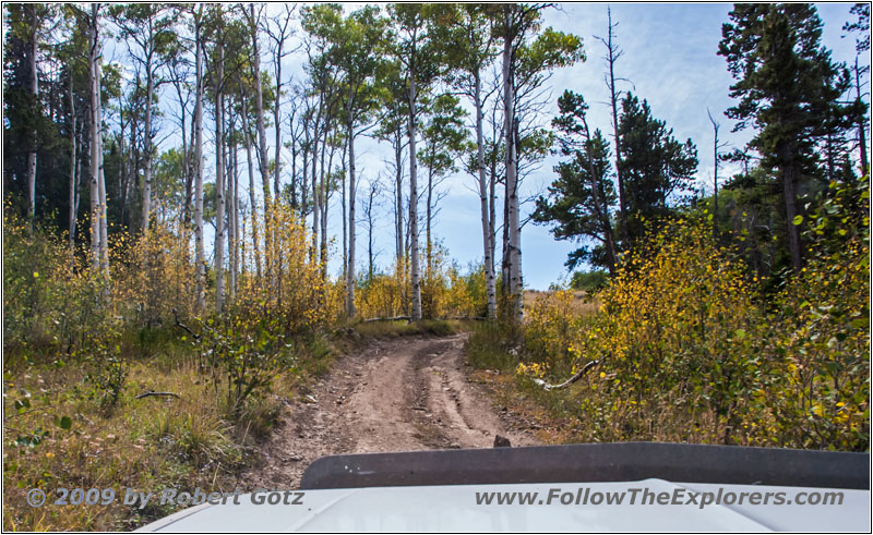 FR352/Indian Trail, WY