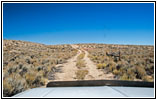 Sage Grouse, Backroad, WY