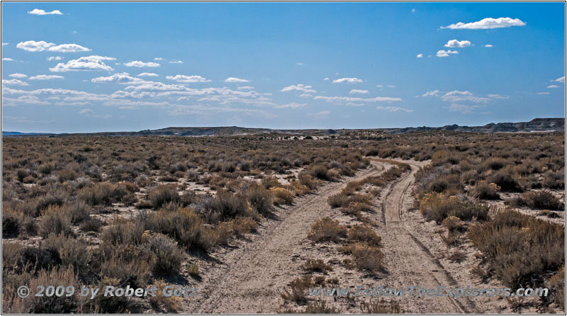 Backroad, WY Backroad, WY