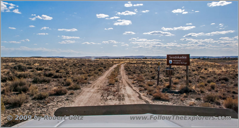 Backroad, Seedskadee National Wildlife Refugee, WY Backroad, Seedskadee National Wildlife Refugee, WY