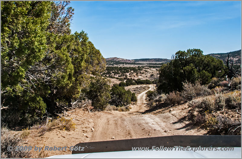 Backroad, Wyoming