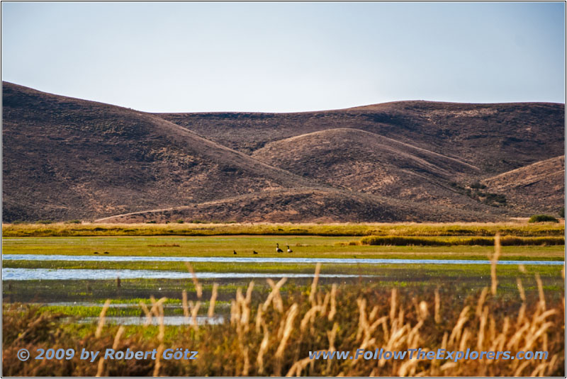 Pegram Rd, Bear River, ID
