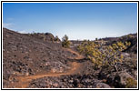 Tree Molds Trail, Craters of the Moon NM, ID