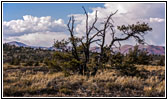 Tree Molds Trail, Craters of the Moon NM, ID