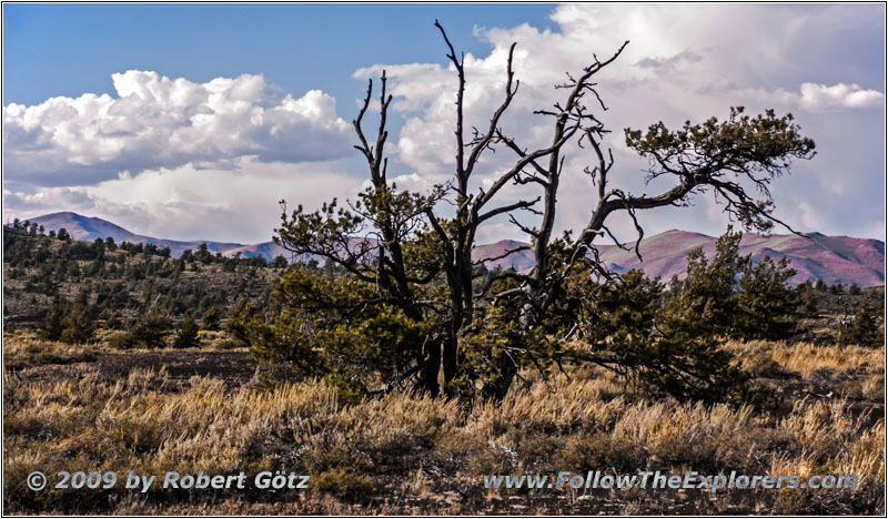 Tree Molds Trail, Craters of the Moon NM, ID