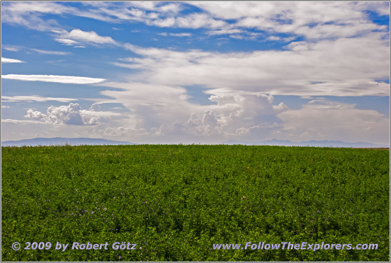 W 600 N/Frontier Farms Rd, Idaho W 600 N/Frontier Farms Rd, Idaho