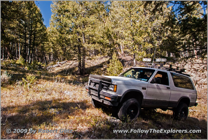 88 S10 Blazer, Backroad, ID