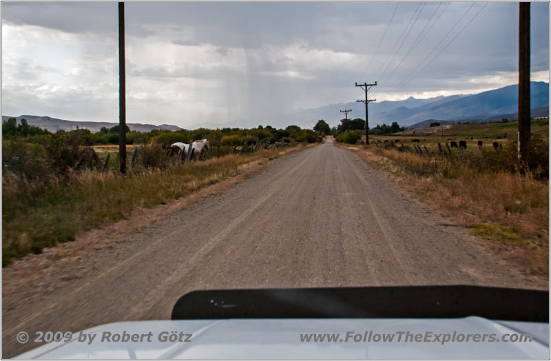 Horse, Old Hwy 28/Lemhi Rd, ID