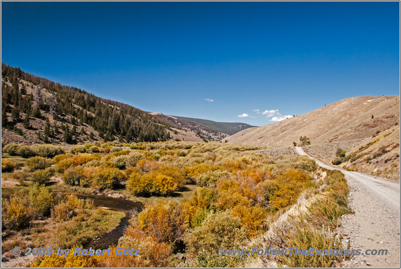 Bloody Dick Rd, Bloody Dick Creek, MT