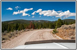 FR181/Bloody Dick Rd, MT