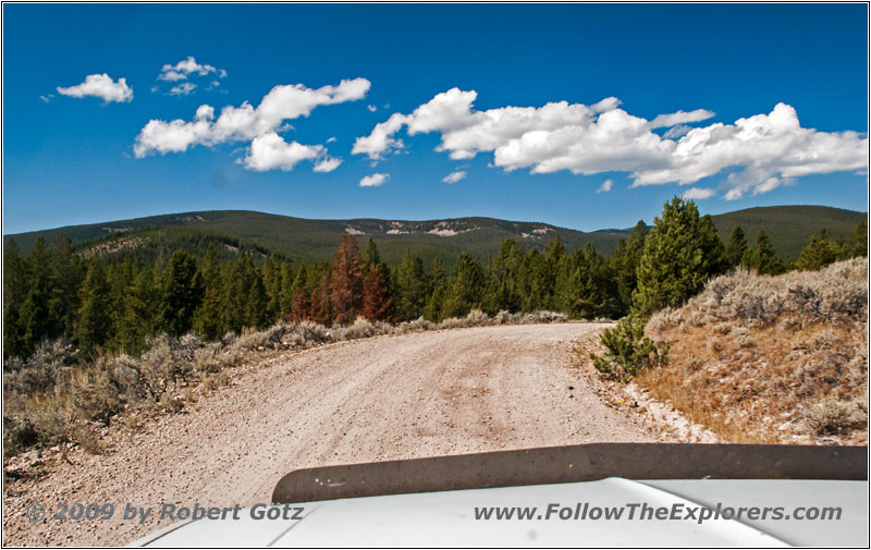 FR181/Bloody Dick Rd, MT
